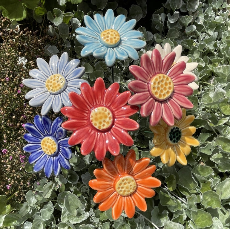 Ceramic Meadow Daisy