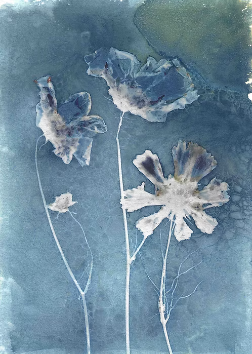 Cosmos Trio Print 8x10