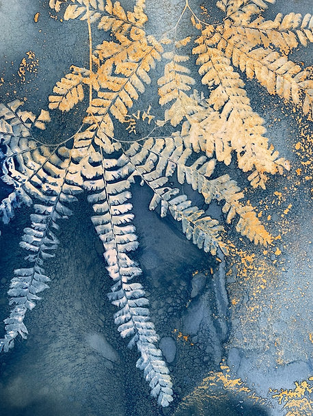 Forest Glow Print 16x20