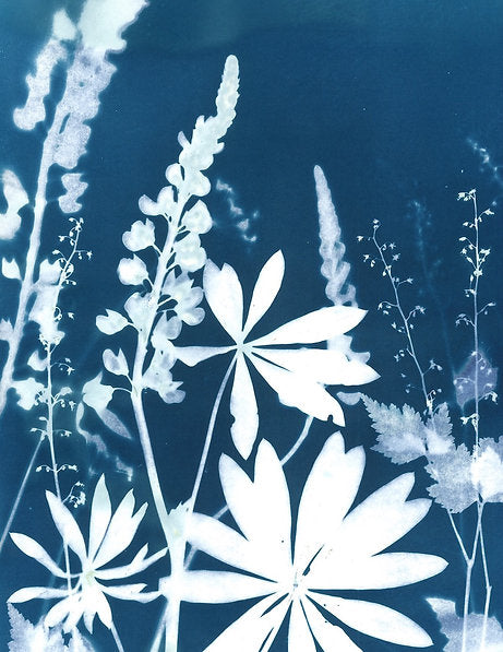 Highland Meadow Print 8x10