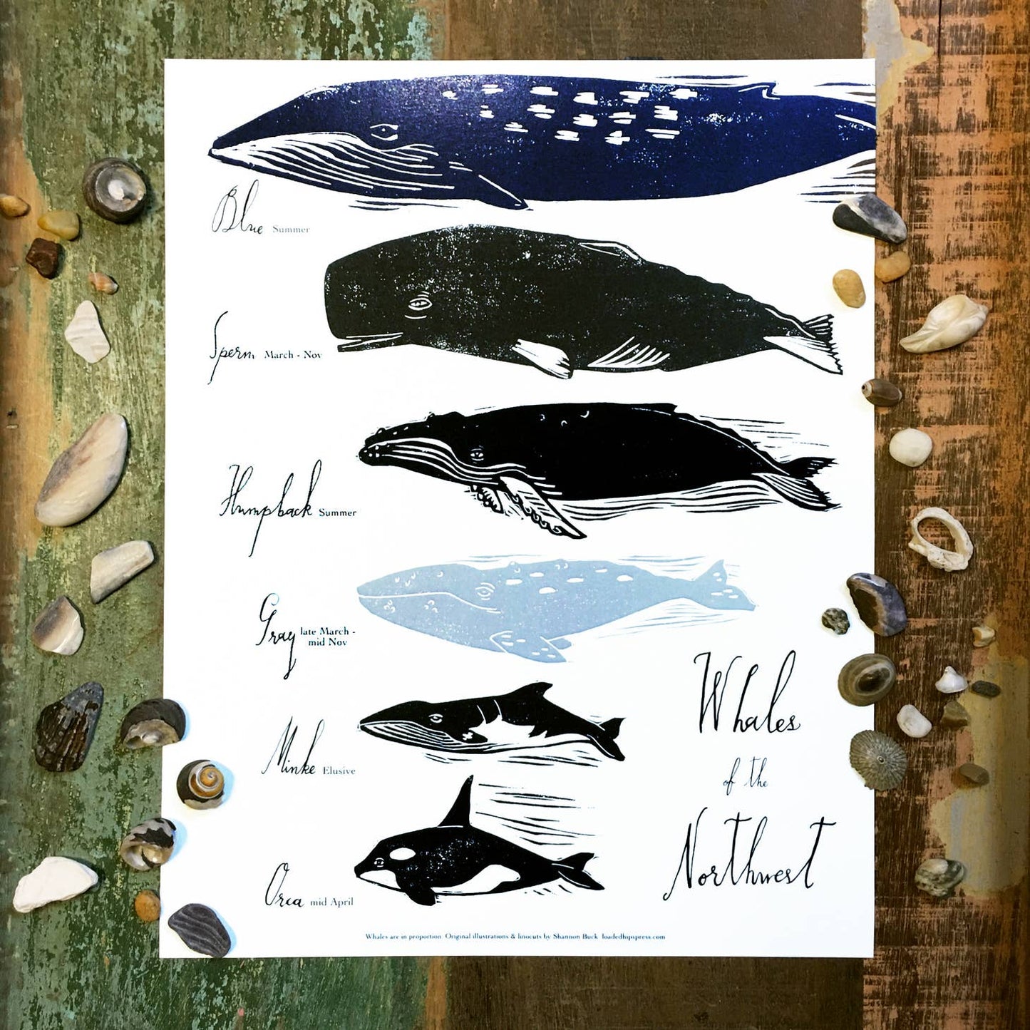 Whales of the Pacific NW 11x14