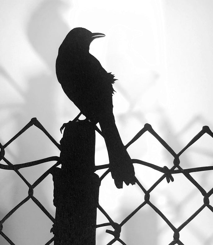 Framed Hand Cut Paper Art - Mocking Bird 5 x 7