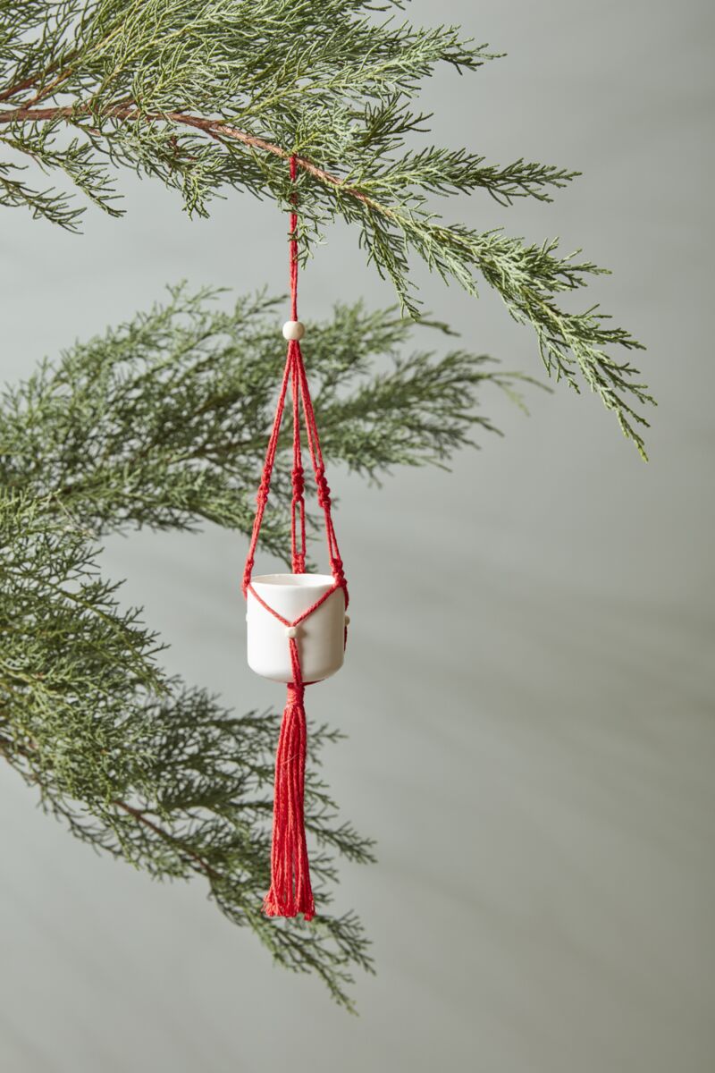 Macrame Tillandsia Holder