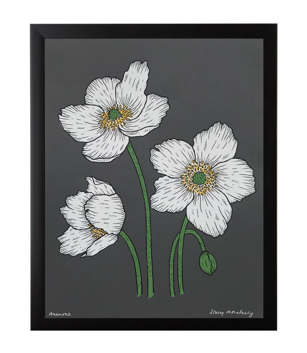 Anemone 11x14, Framed