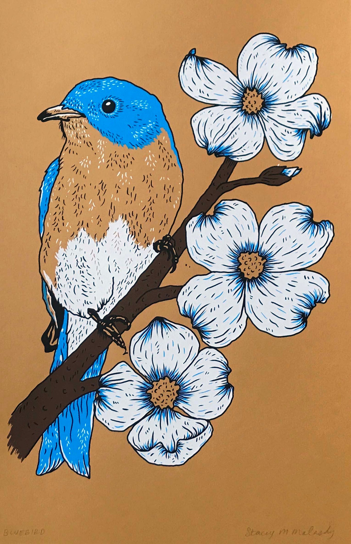 Bluebird Print -- 17x11 inches