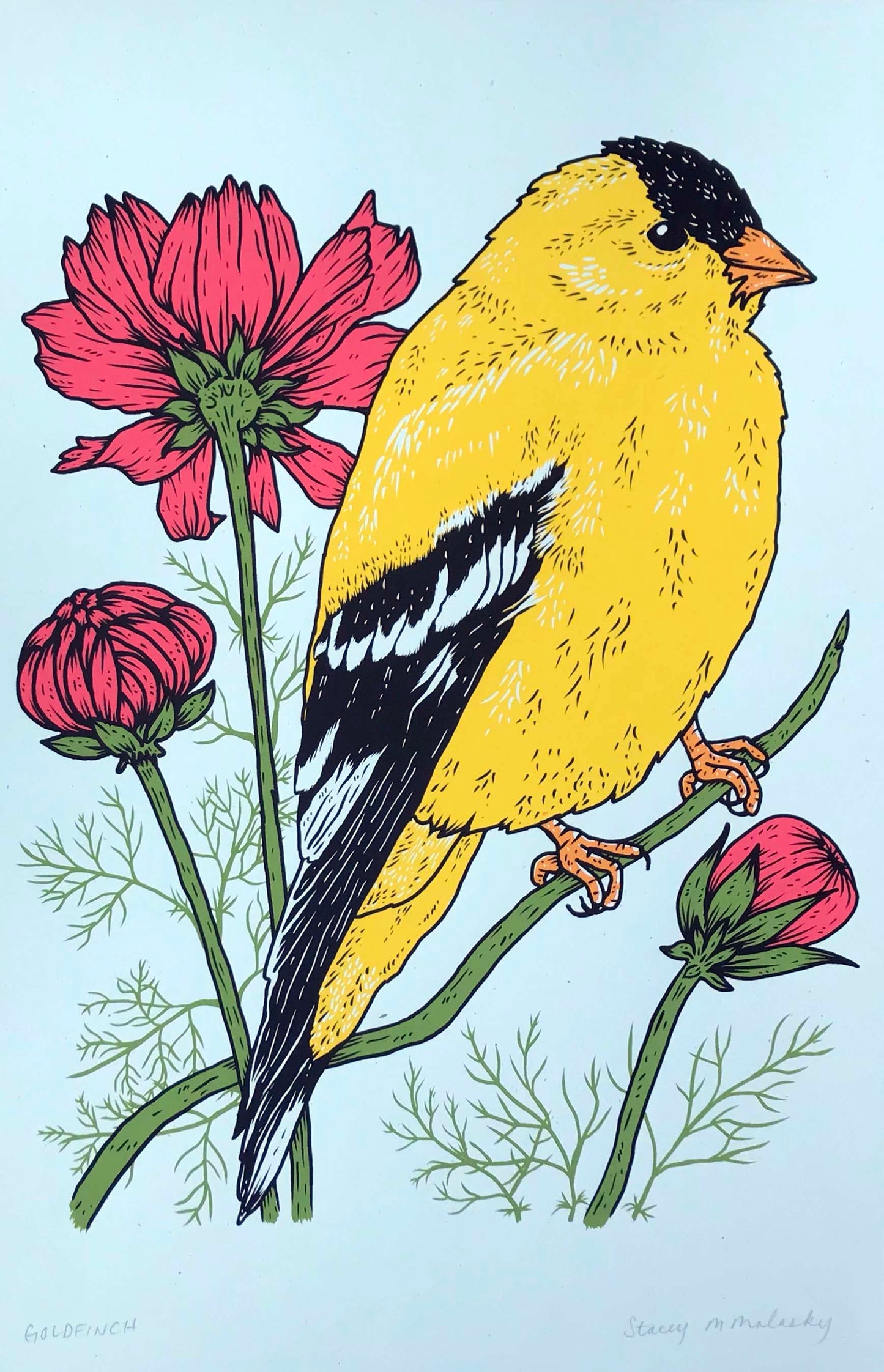 Goldfinch Screenprint, 17 x 11 Inches