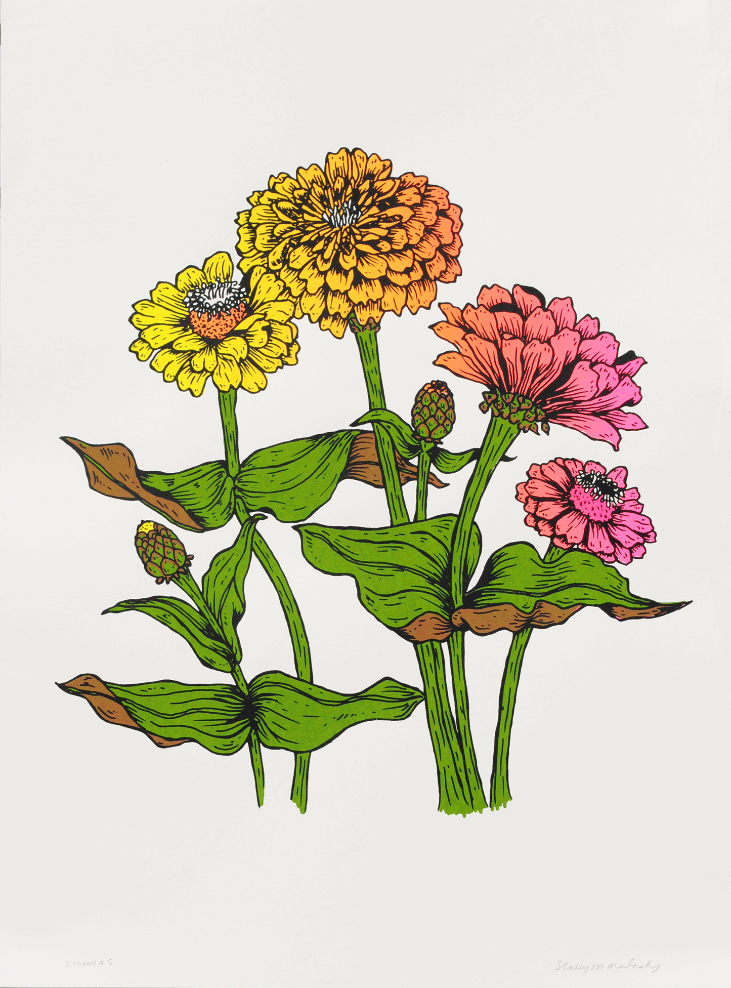 Zinnias, 18x24