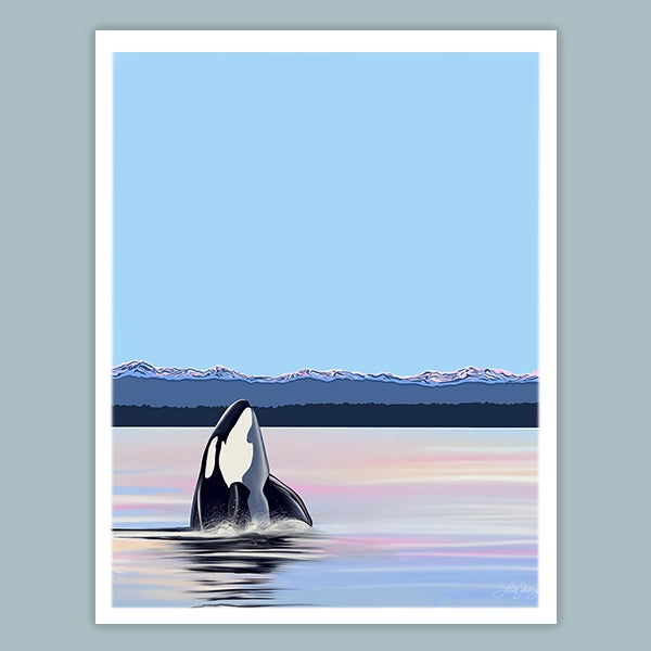 Orca Spyhopping 11x14