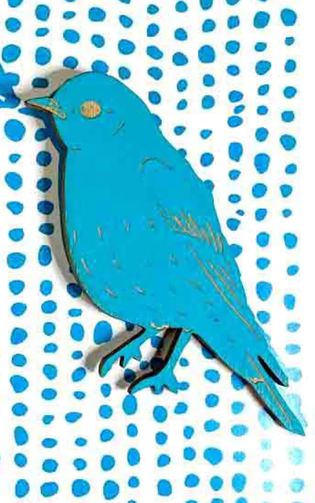 Bird Magnet, Single