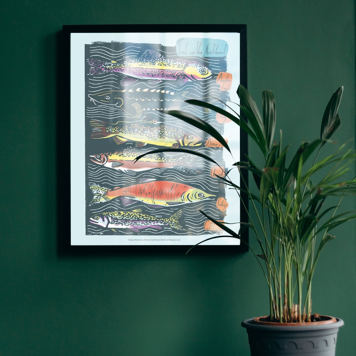 Fish of the Pacific NW 11 x14, Framed