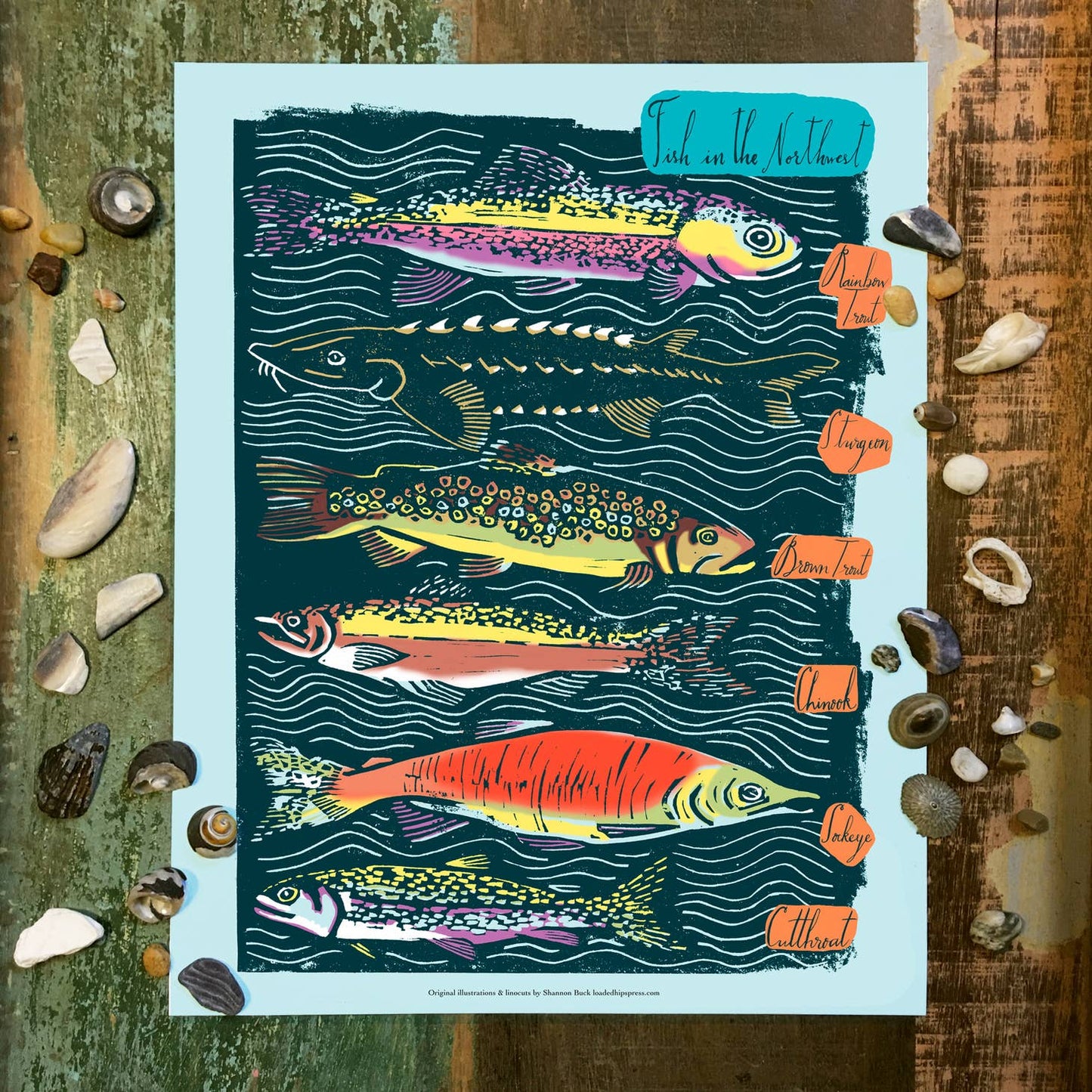 Fish of the Pacific NW 11 x14, Framed