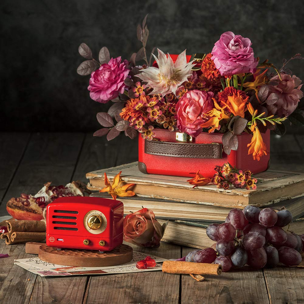 Vintage Bluetooth Speaker + Radio, Red