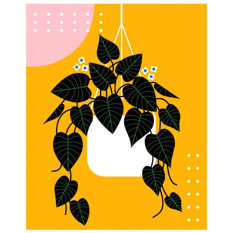 Trailing Pothos Print, 11x14