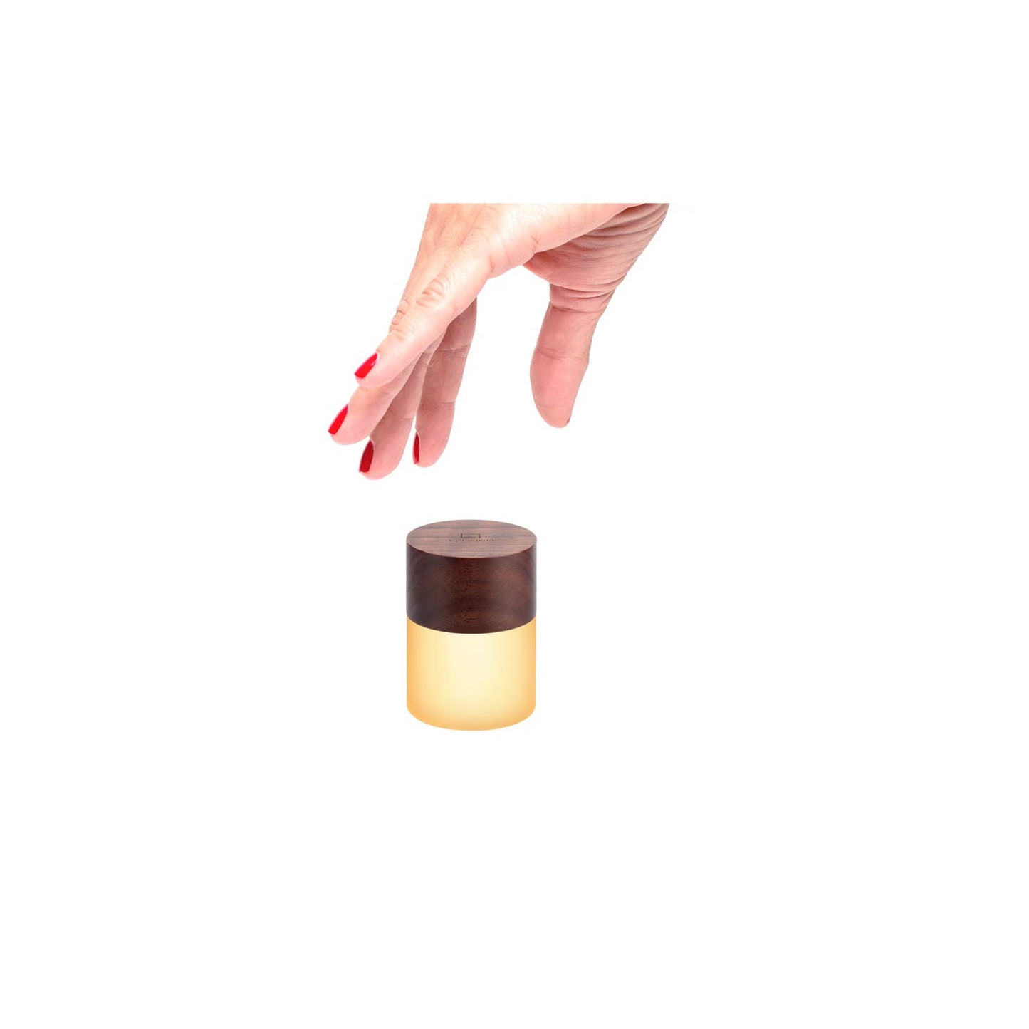 Lemelia Light, Walnut
