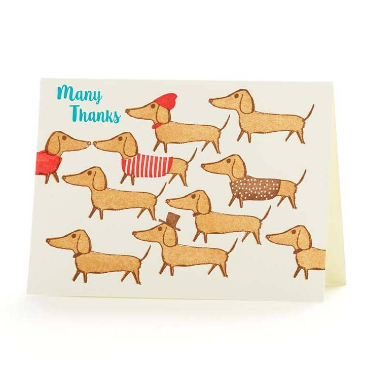 Doxie Thanks Notecard - Set of 6