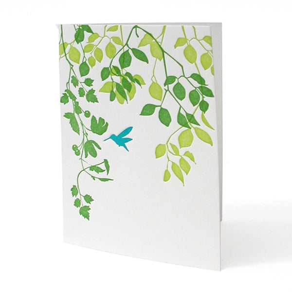 Hummingbird Notecards - Set of 6