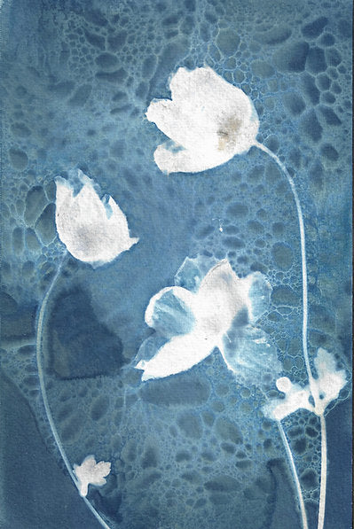 Moonlight Print 8x10