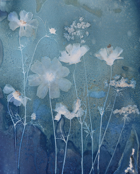 Garden Delight Print 16x20