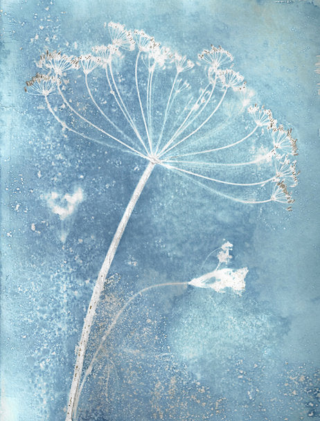 Reach Print 16x20