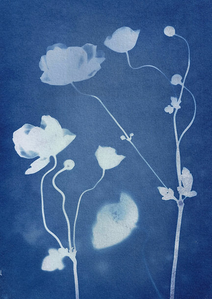 Flourish Print 8x10