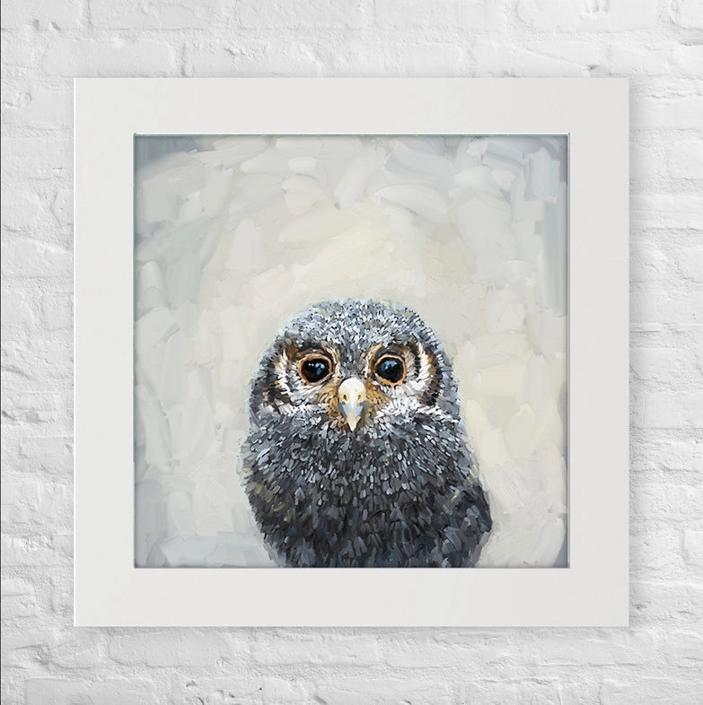Owls are Magic, Framed