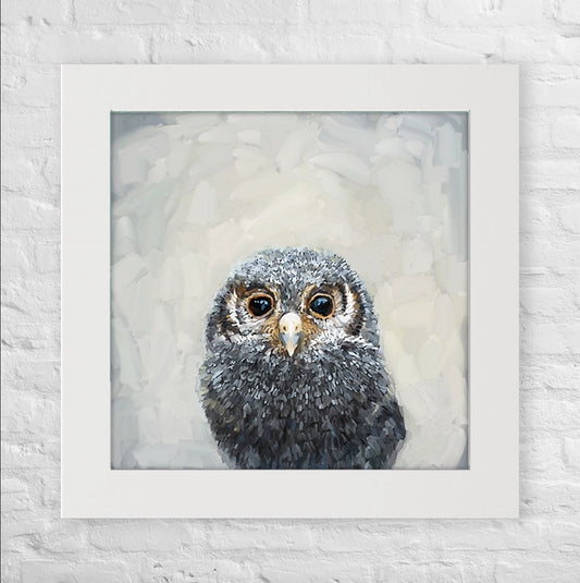 Owls are Magic, Framed
