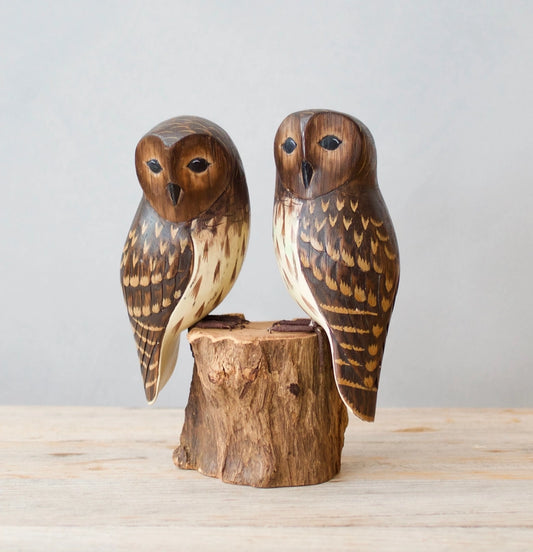 Handcarved Baby Barred Owl Pair