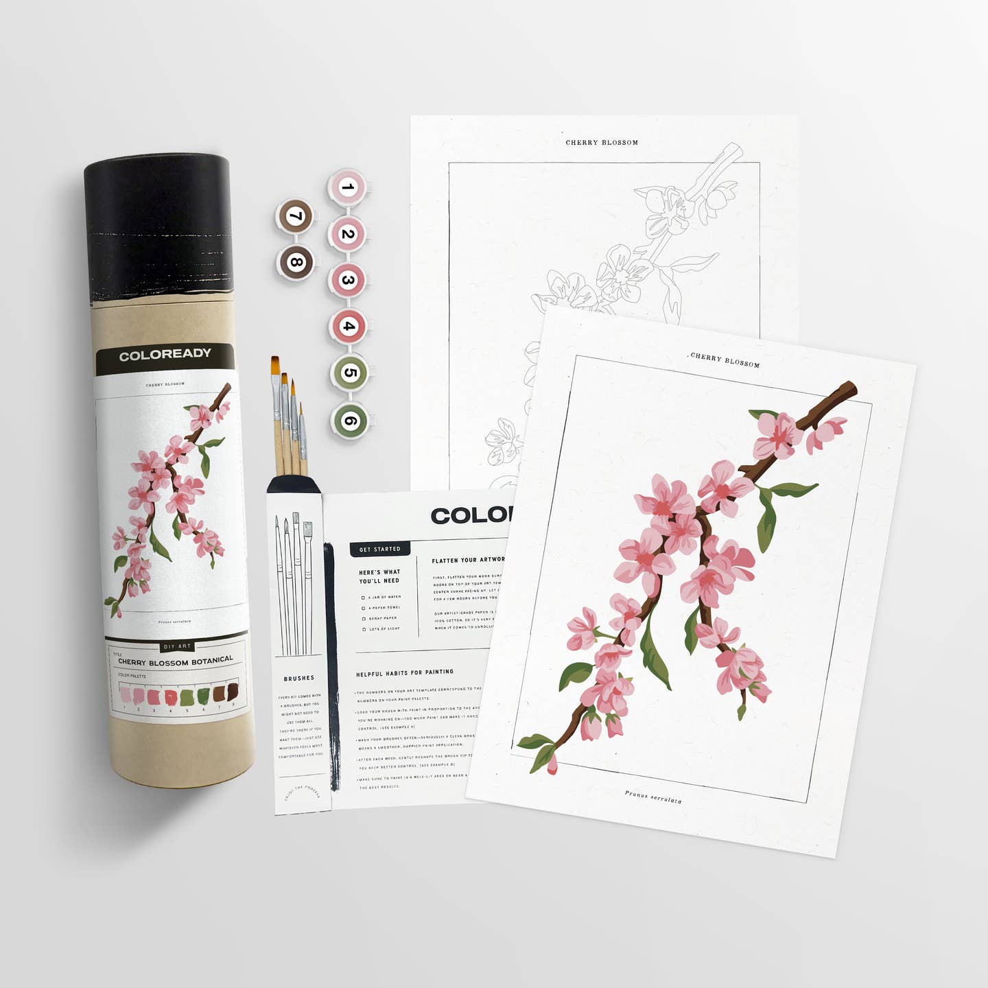 Cherry Blossom Paint by Numbers