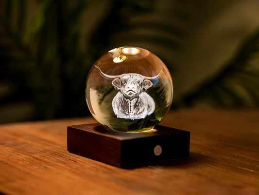 Amber Crystal Light - Highland Cow