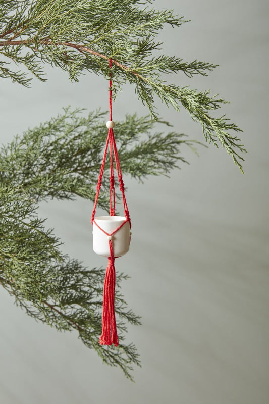 Macrame Tillandsia Holder