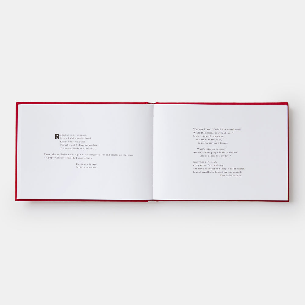 A History of the World (in Dingbats): Drawings & Words