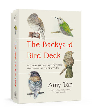 Backyard Bird Deck