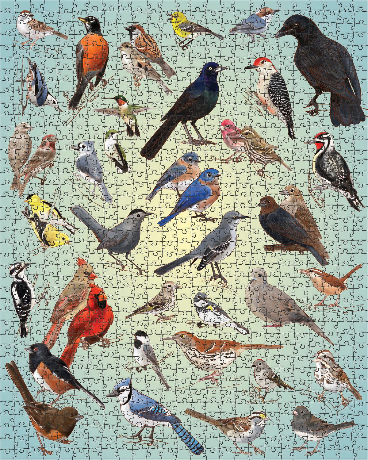 Backyard Birds 1,000-Piece Jigsaw