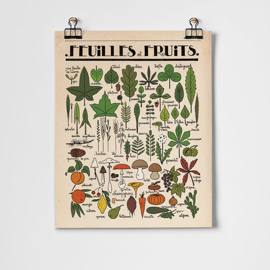 Feuilles et Fruits Print 11x14