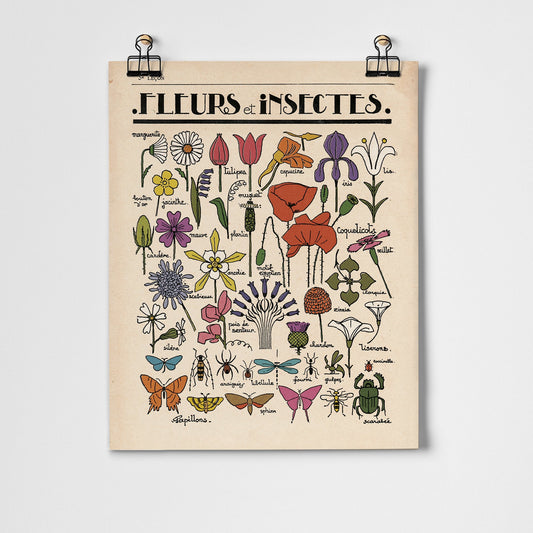 Fleurs et Insectes Print 11x14