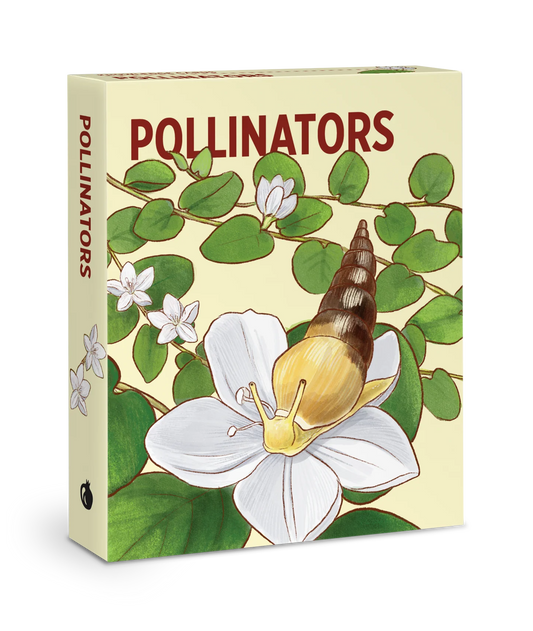 Pollinators Knowledge Cards