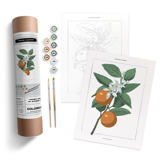 Orange Blossom Paint by Numbers