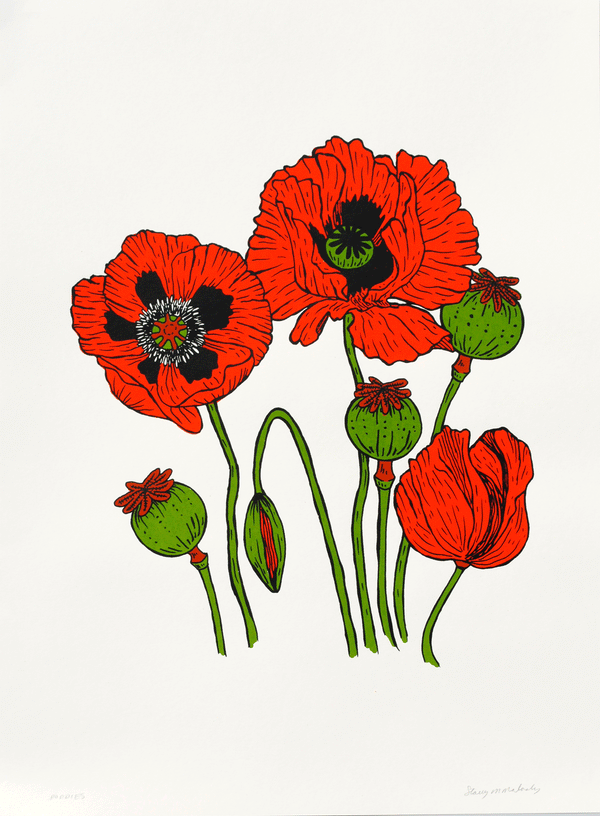 Poppies, 18x24