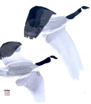 Original, Canada Geese 3