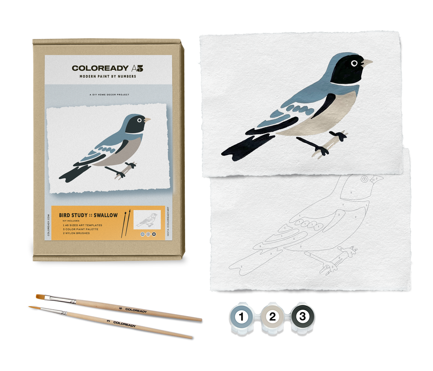Swallow Paint by Numbers