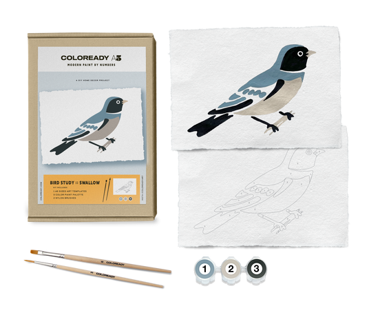 Swallow Paint by Numbers