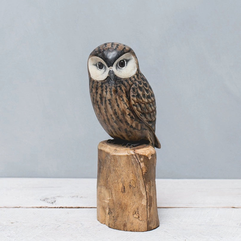 Hand Carved Saw Whet Owl, Large
