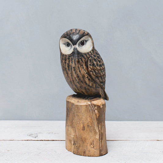 Hand Carved Saw Whet Owl, Large
