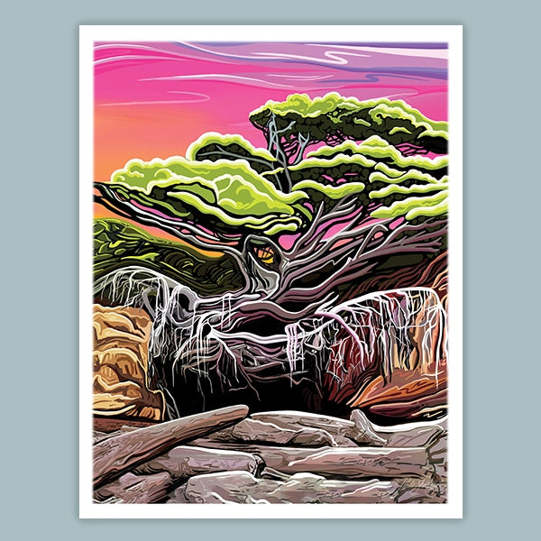 Tree of Life Kalaloch 11x14