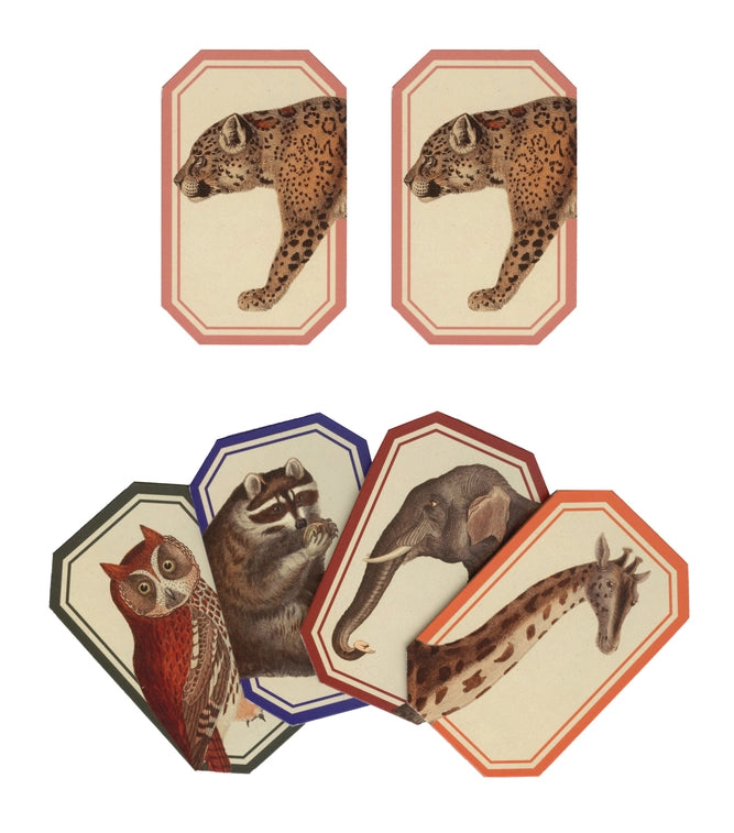 Animal Kingdom Memory Game