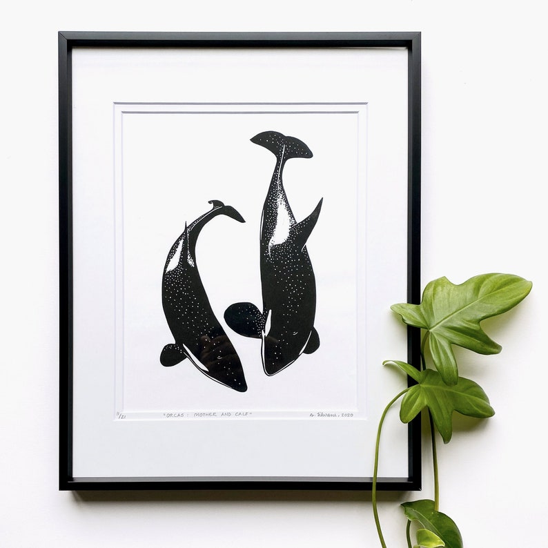 ORCAS: MOTHER AND CALF